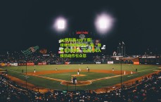 pg模拟器app下载|球场惊现侮辱性一幕，巨星受伤倒地，流浪犬闯入模仿动作引众怒