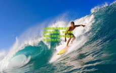 pg模拟器|贝蒂斯主场逆转乌德勒支，罗德里格斯惊天吊射与阿布德绝杀点燃激情之夜