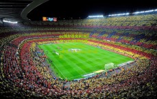 pg模拟器官网|WildTurtle真情吐露，LemonNation成电竞生涯核心动力源泉