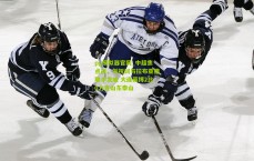 pg模拟器官网_中超焦点战，刘祝润与拉布亚德联手发威 大连英博2比0力克山东泰山