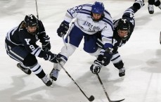 pg模拟器app下载_暴雪秘密计划酝酿中，守望先锋动画师调动牵动电竞领域神经