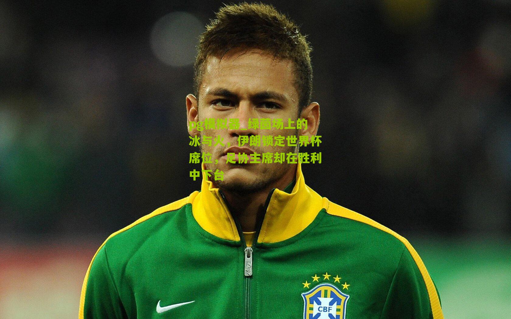 绿茵场上的冰与火，伊朗锁定世界杯席位，足协主席却在胜利中下台