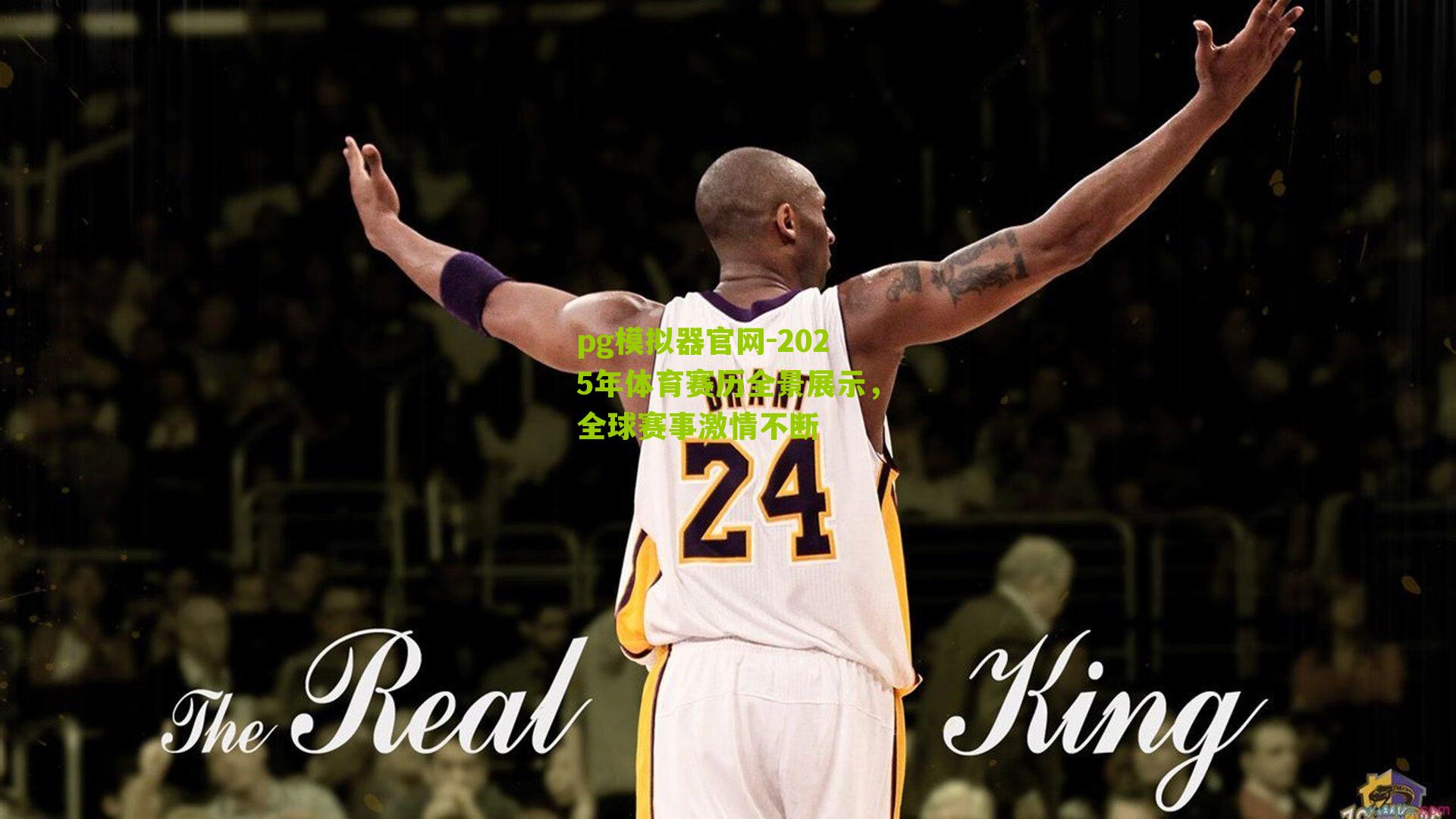 2025年体育赛历全景展示，全球赛事激情不断